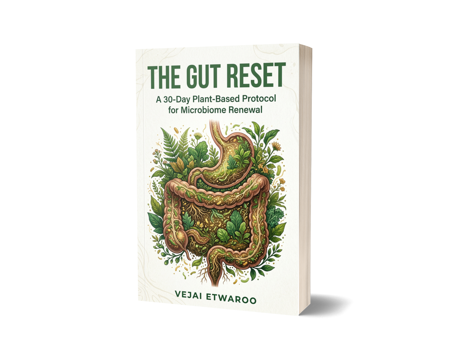 THE GUT RESET - Image 2